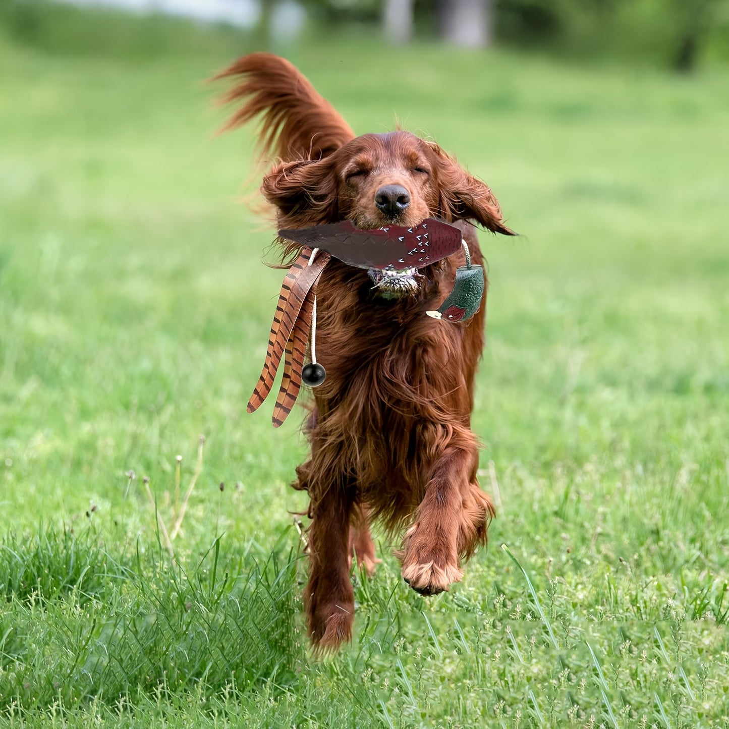 03f2c844-806c-4516-96a8-b90ae374f337