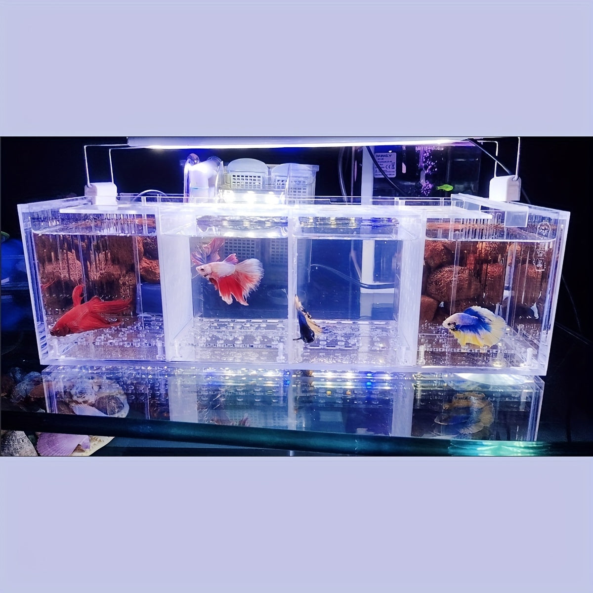 0a2ff2e0-e156-478f-aadd-1c6137ee3894