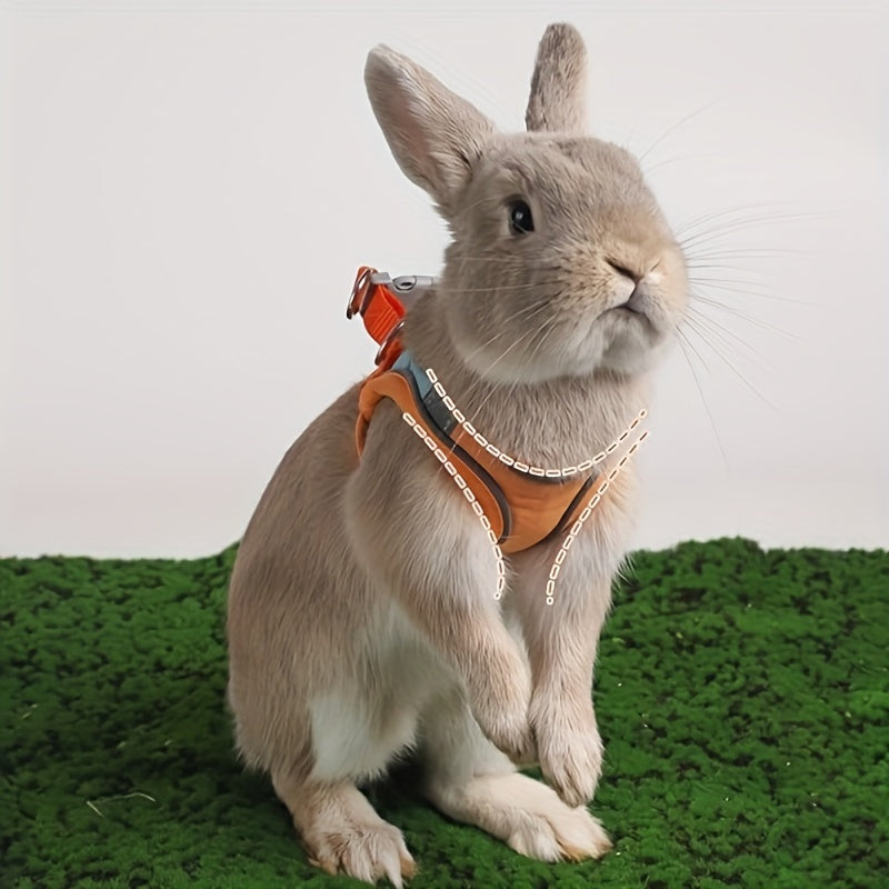 1e525421-ce43-4ecc-9b6e-c22948b689ce