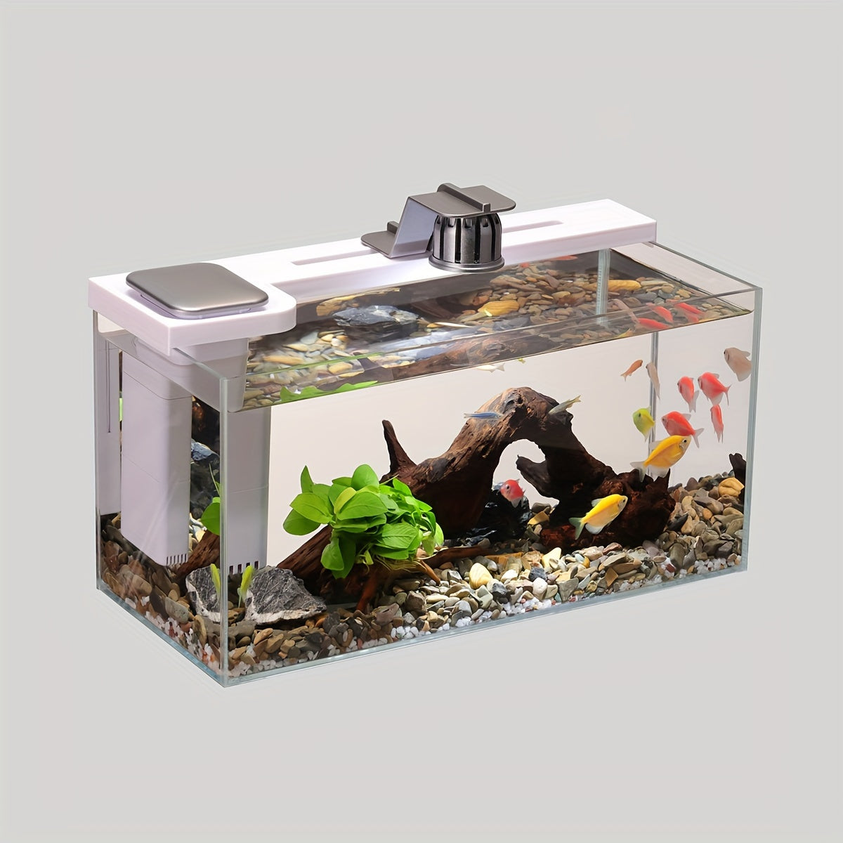 24154ba7-a4a5-4887-8aba-abb52716d6dd