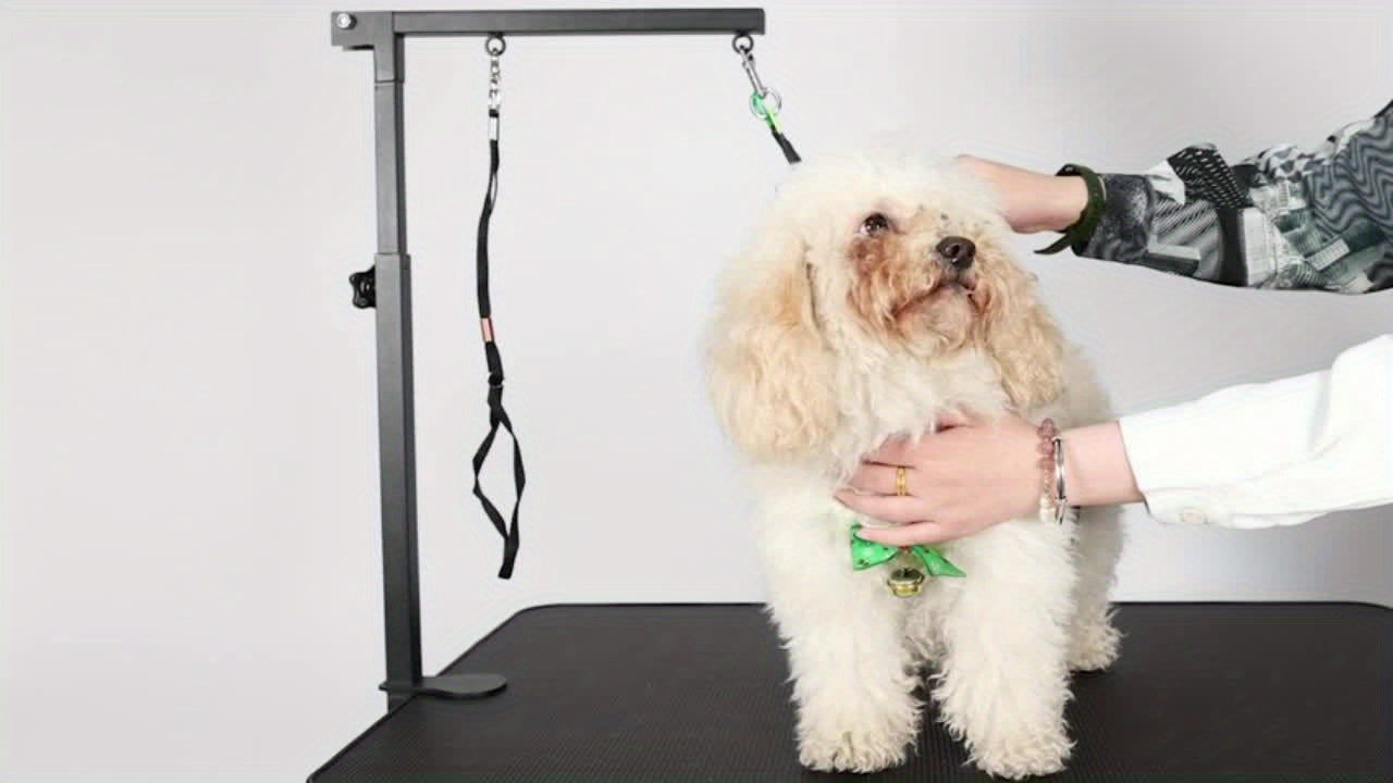 27aadce0d558257b3a7b46f13cad4700e95a9a43