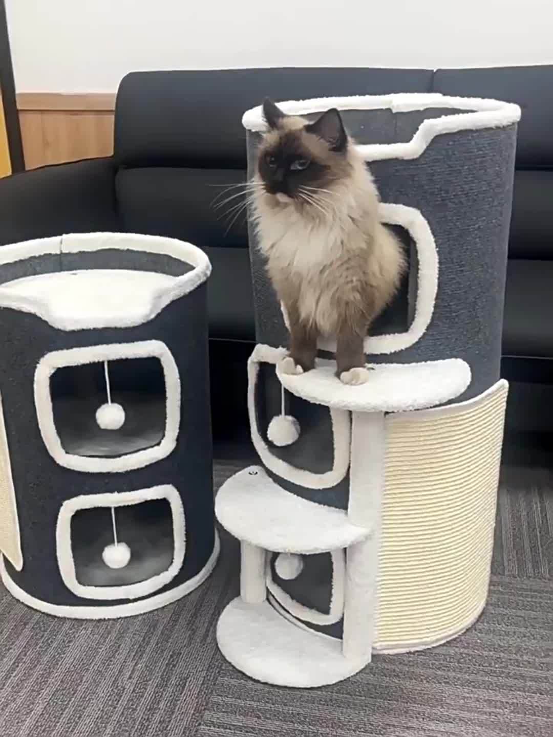 27c798647797341c9e1394ea75790c4e8bc365b0