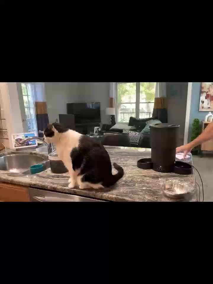 2db011c8857d6c30471883e12b249be4f4f1e3dd