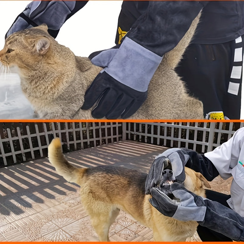 2e24aa30-15ed-4332-9d08-ff0b8edcfce9