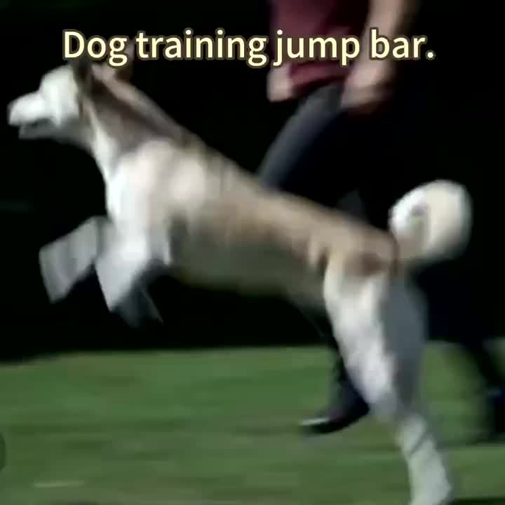 365538723d038d7df693f10d0abb5c7cc4a38539