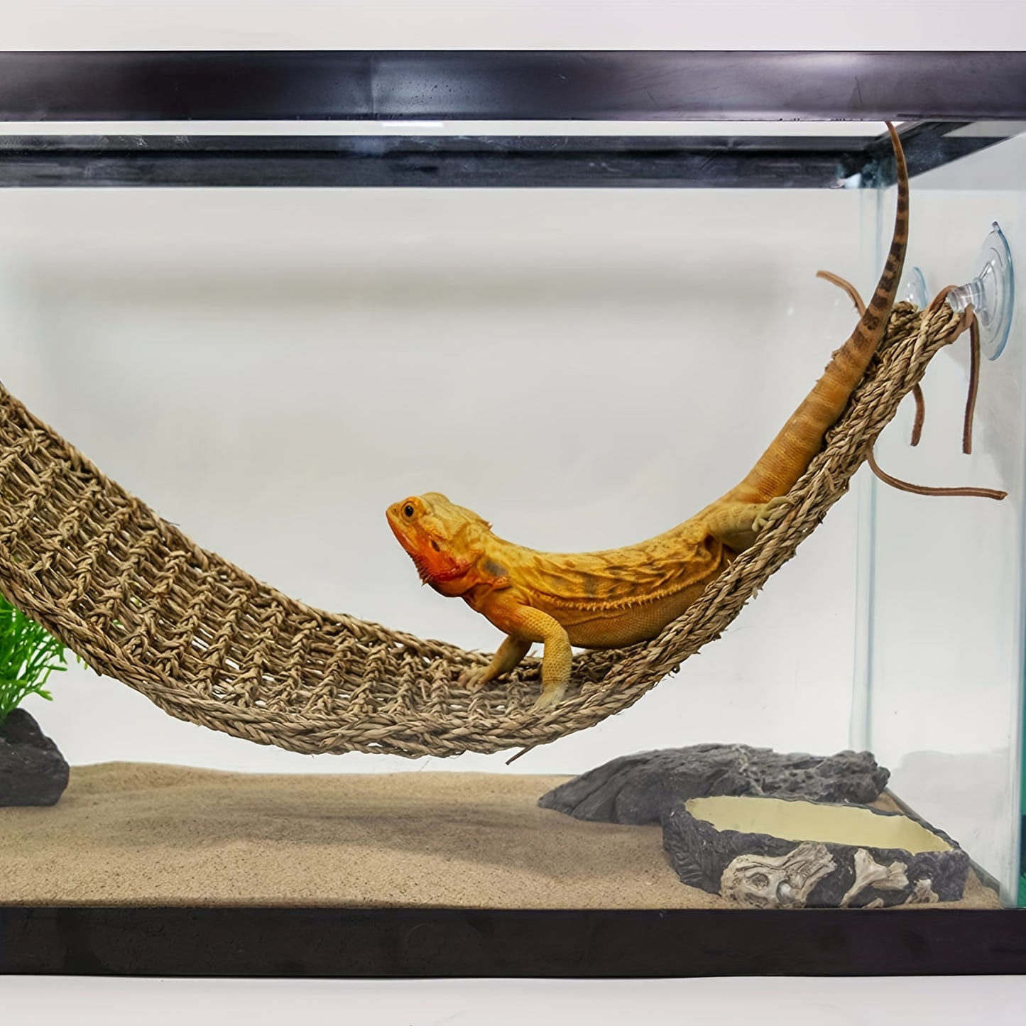 57545ad728ffdeae6345cb0793716038