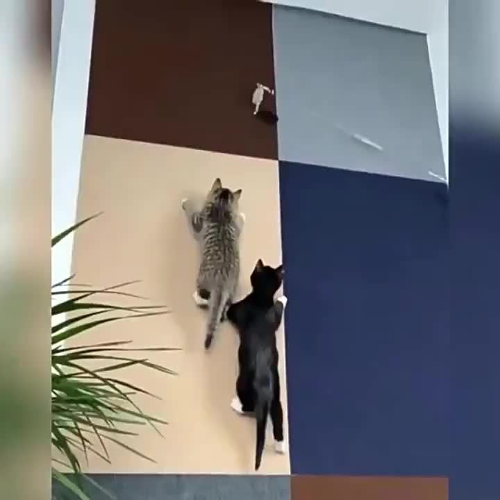 648f80fa40a4f030e077c7e2279f2963dda7e7b7