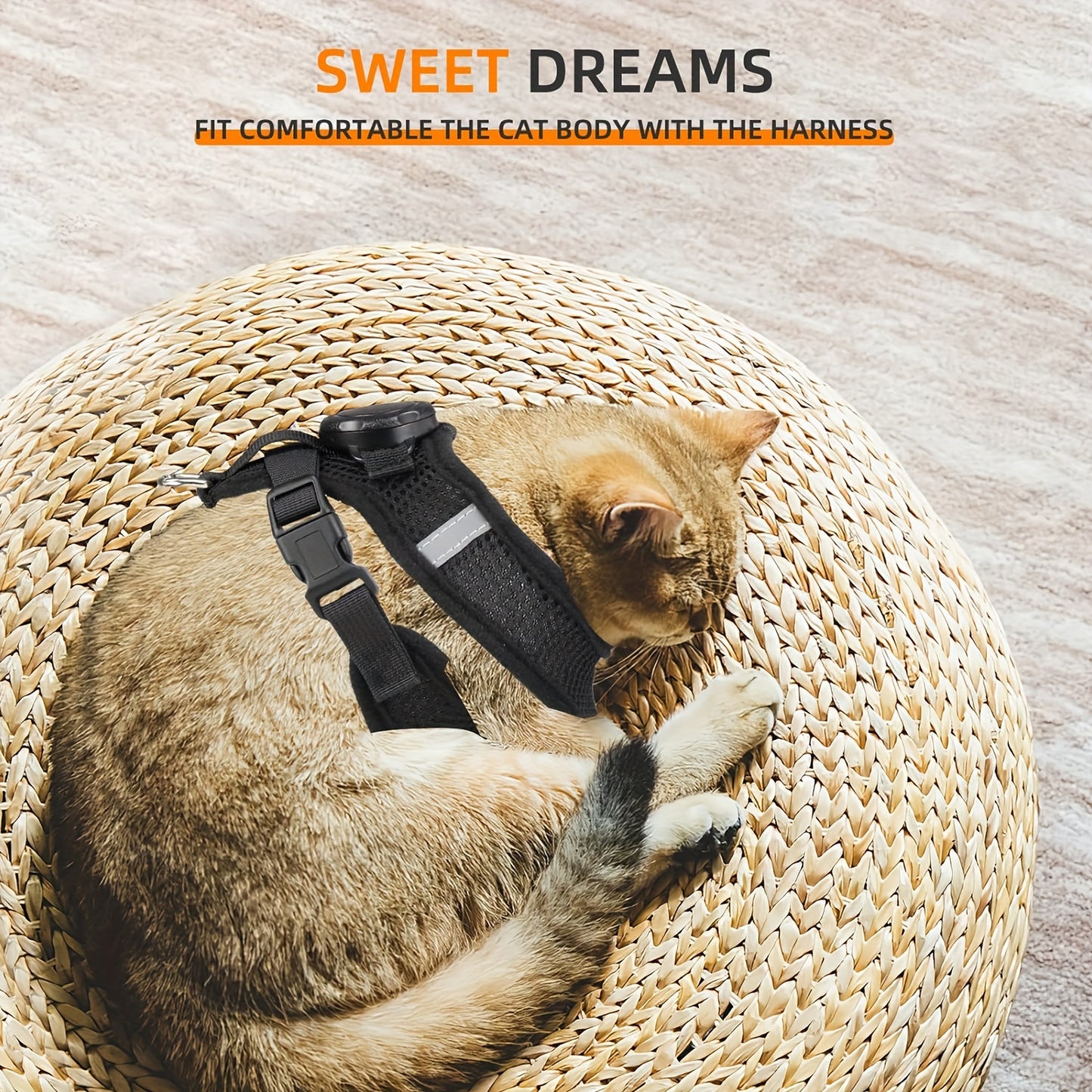 6671bf9a-1602-4fee-aec0-3dec9a64628d