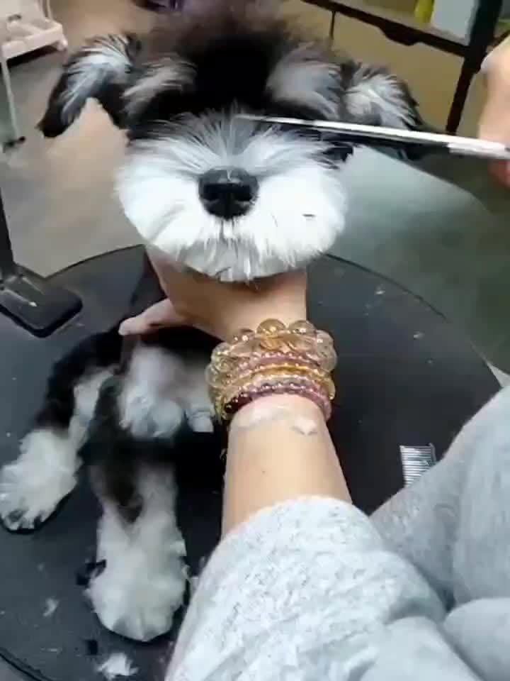 83fbc669bb0ee7419a3abfb6d533c9bed95e5060