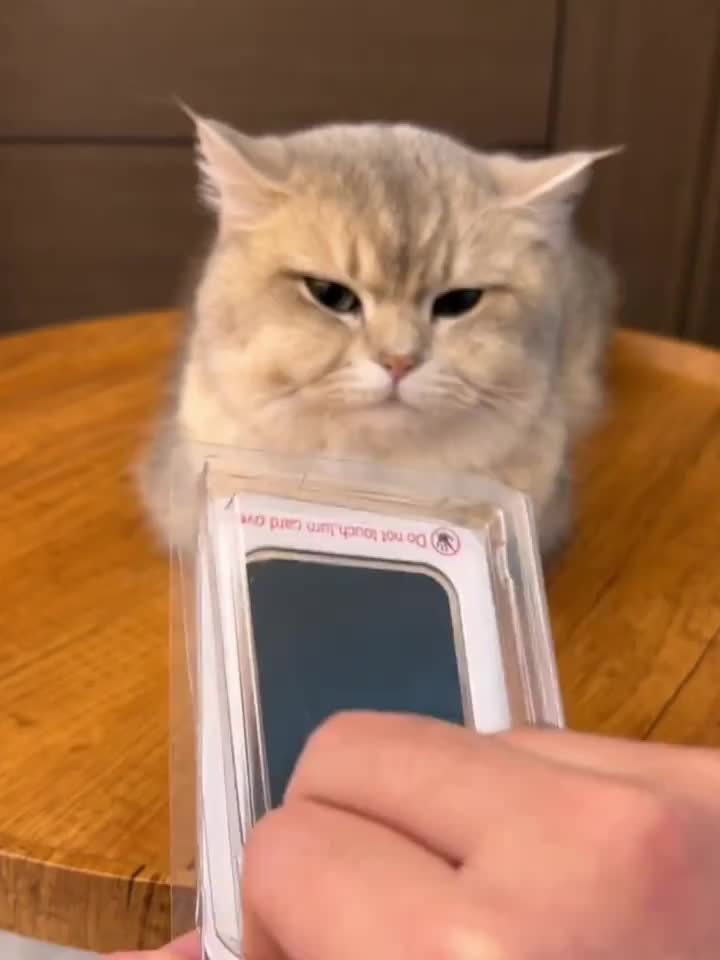 8e65f152fa1959d227b2c73f2891ce6c5ab67b67