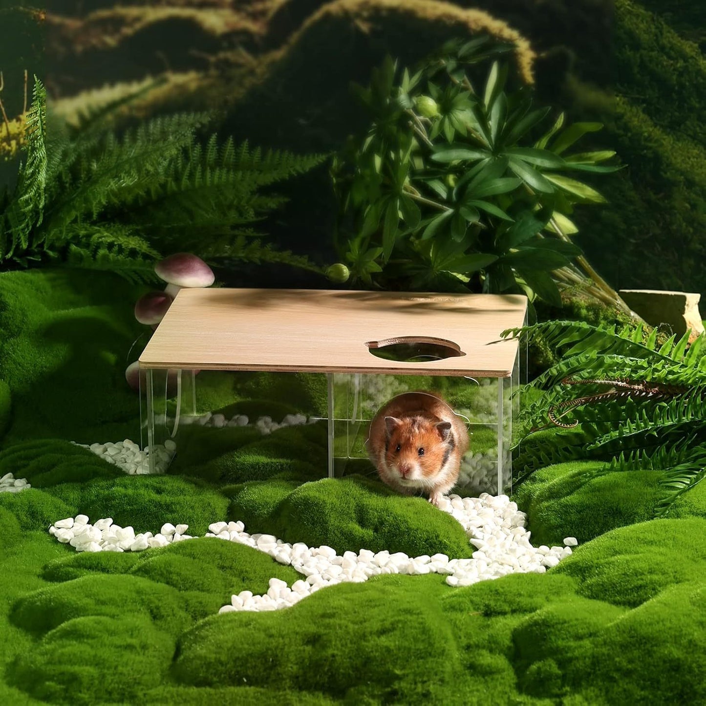 8ed6eebadcbc4033b3dc74d871993baa-goods