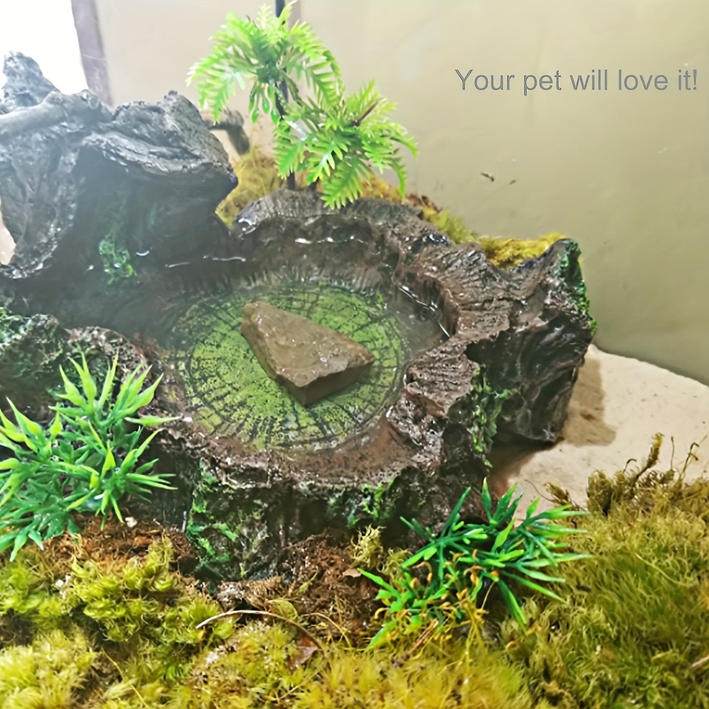 ae9925b673f55cbfd3fe6f0ef22eae11