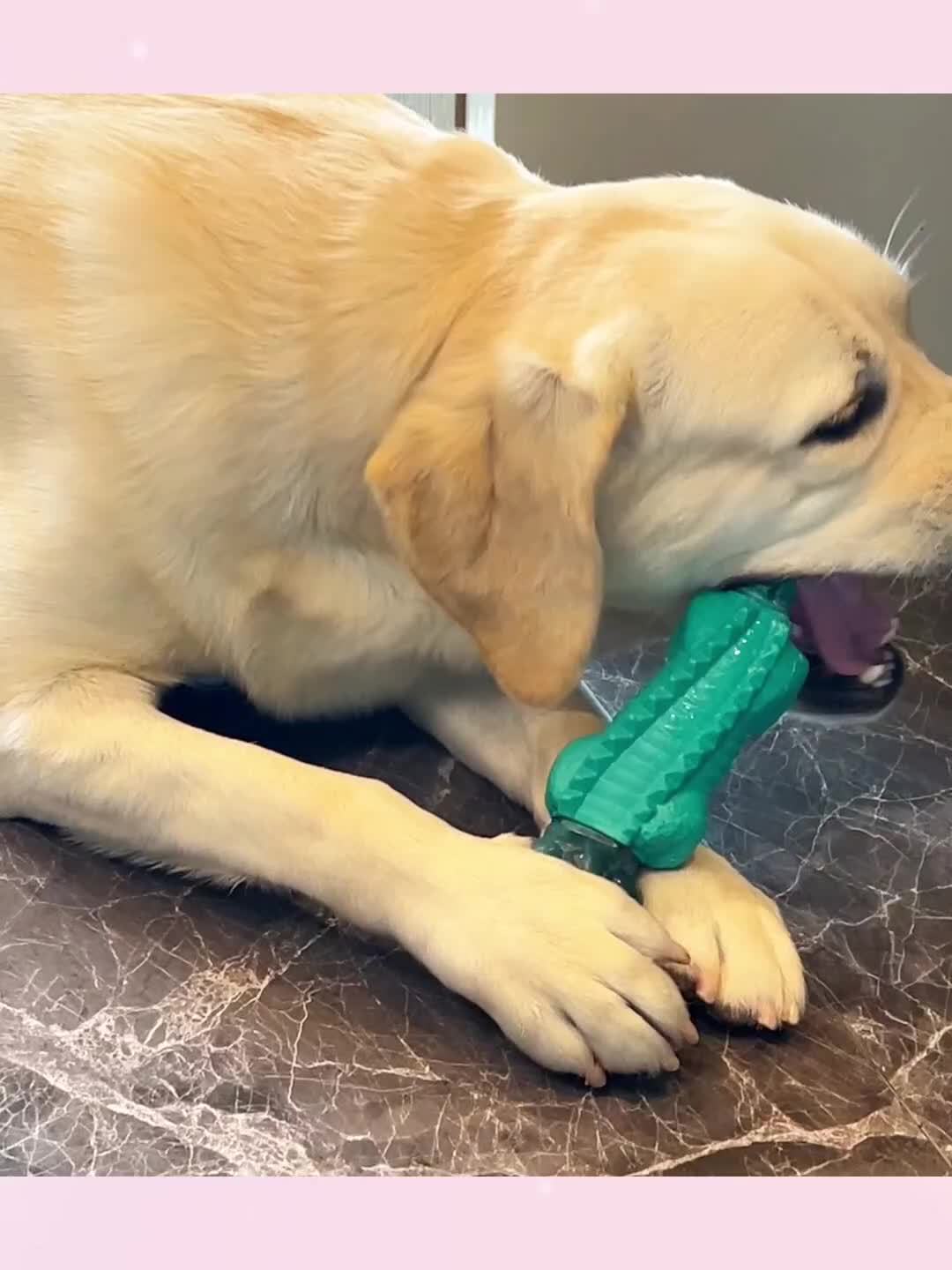 bec1c0def4972d7e9cbd1d31b81b0a410847897a