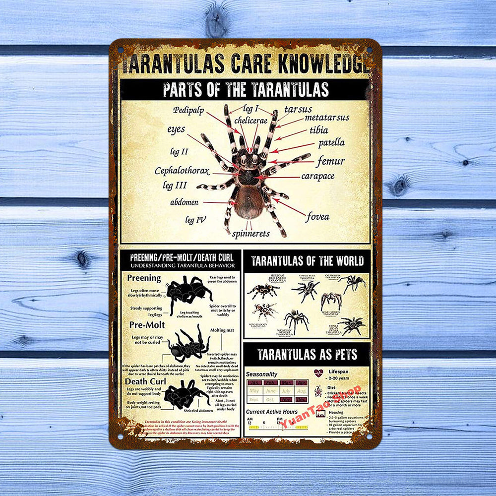 dc92b0d3-3e17-40ff-96c4-1a8a48223d79_1000x1000