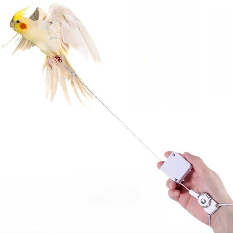 29479728c2424bf697cd2767c57db8e5-goods