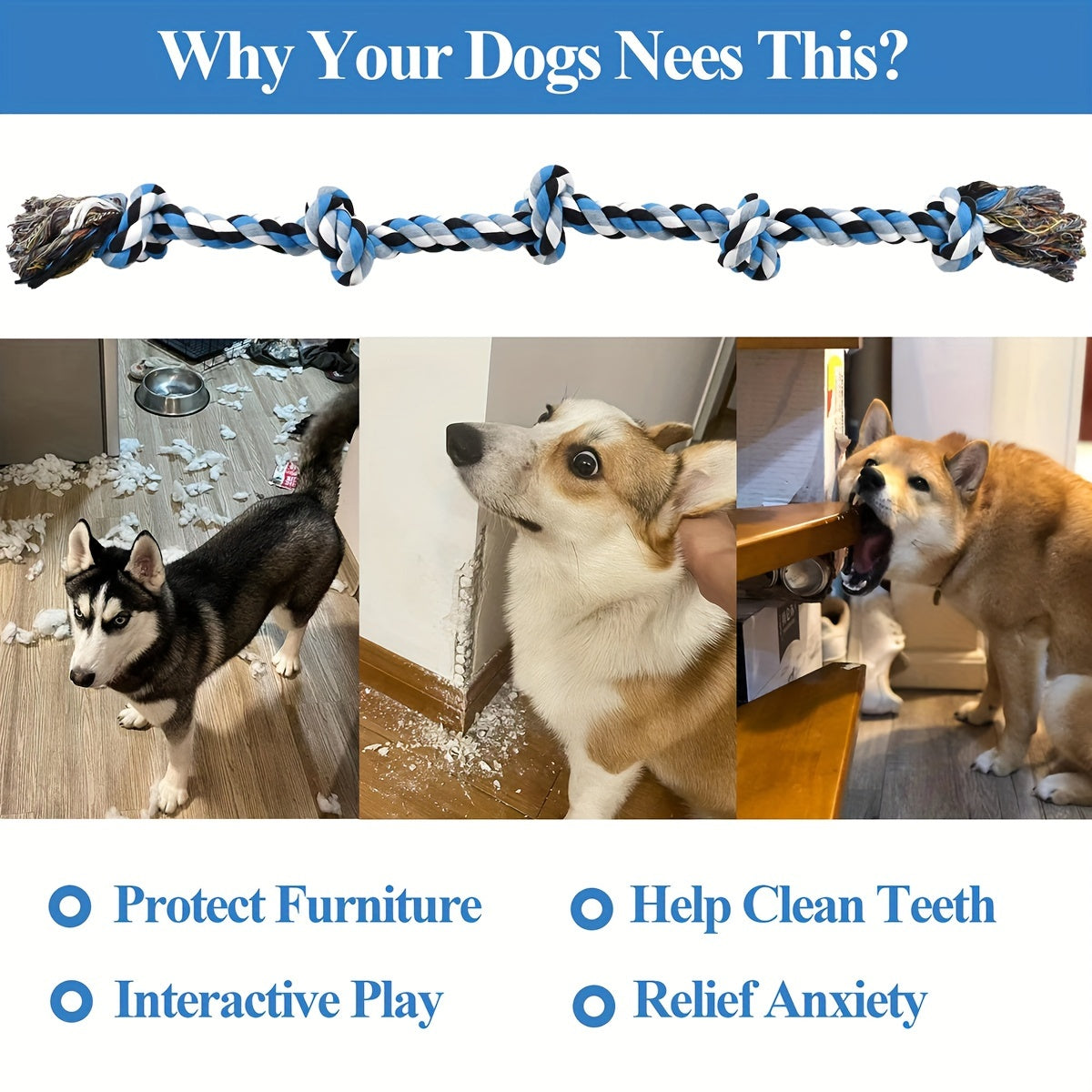 2b874656-ad1d-4450-b12a-b47298234146