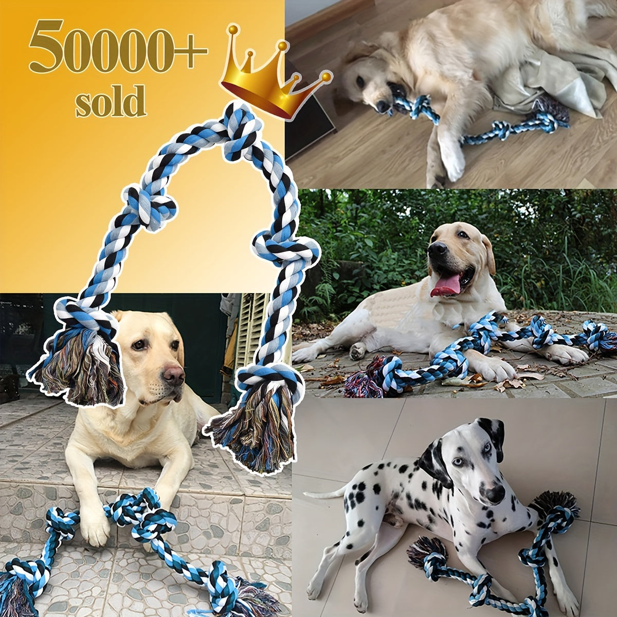 7bb5fd2f-4d49-4dad-9016-d6f85fe3003b