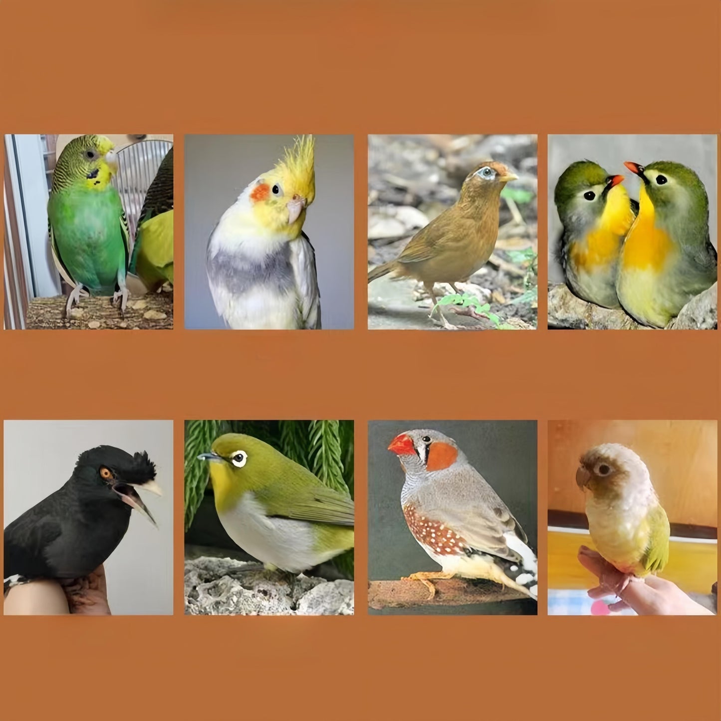 9846fd00-33de-4216-9c12-f450146c4f64