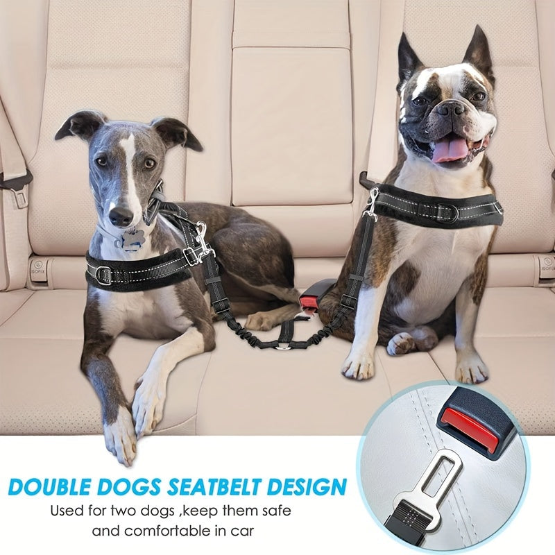 a4c157e0-e9b3-4258-82cf-e78995d97853