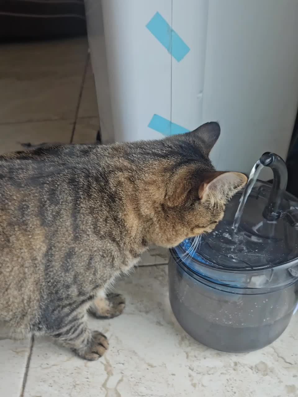 a73d627e52dd6b2b278df05b70242683797a32a5