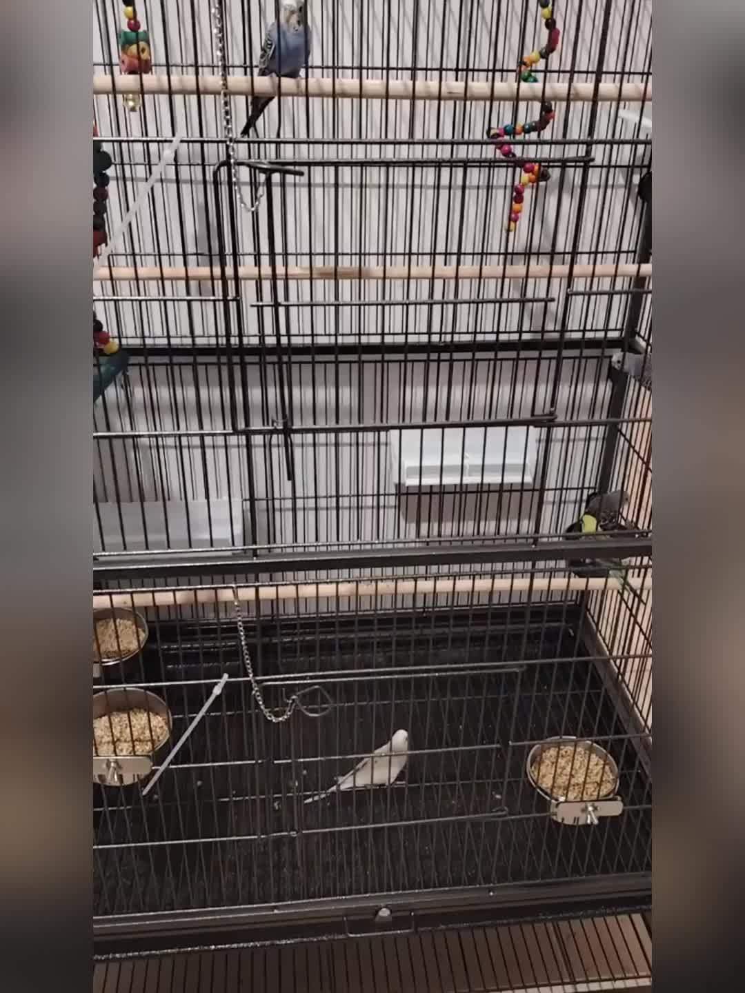 b6117aedd6b13caf789251e7b90c58980f830113