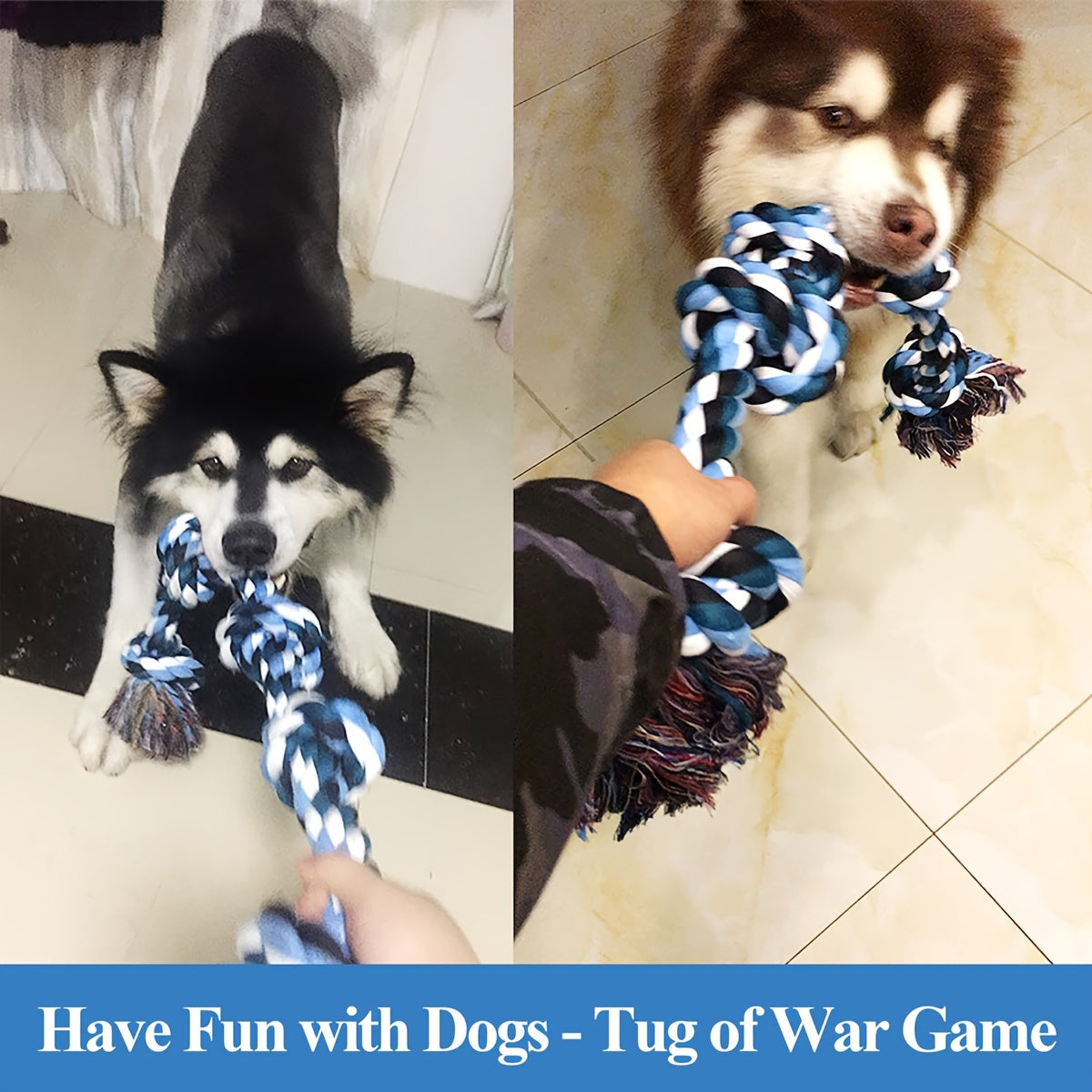 bd202db5-2a68-4648-9d3a-b48f1dc3601c