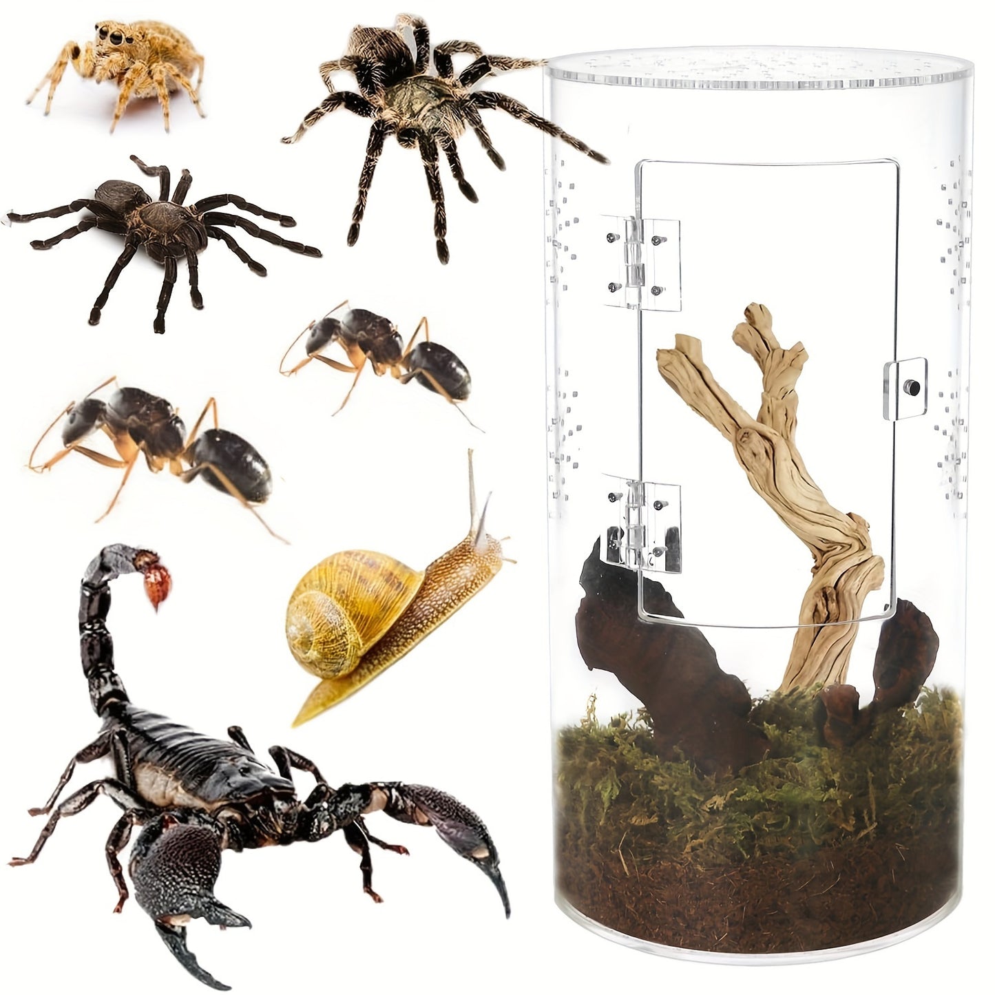 d4f7f32334d44372bace0bcbb890c039-goods