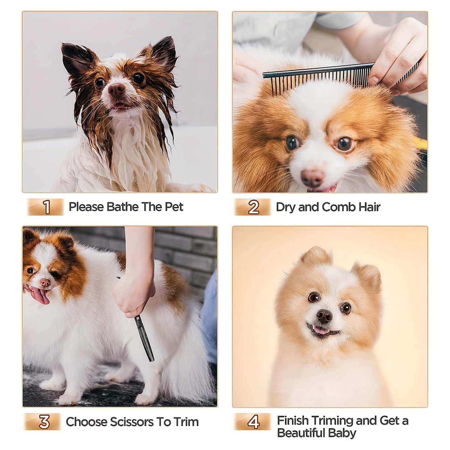 f87f2e5a-8373-4c5c-bcbb-0703e1f5a28e