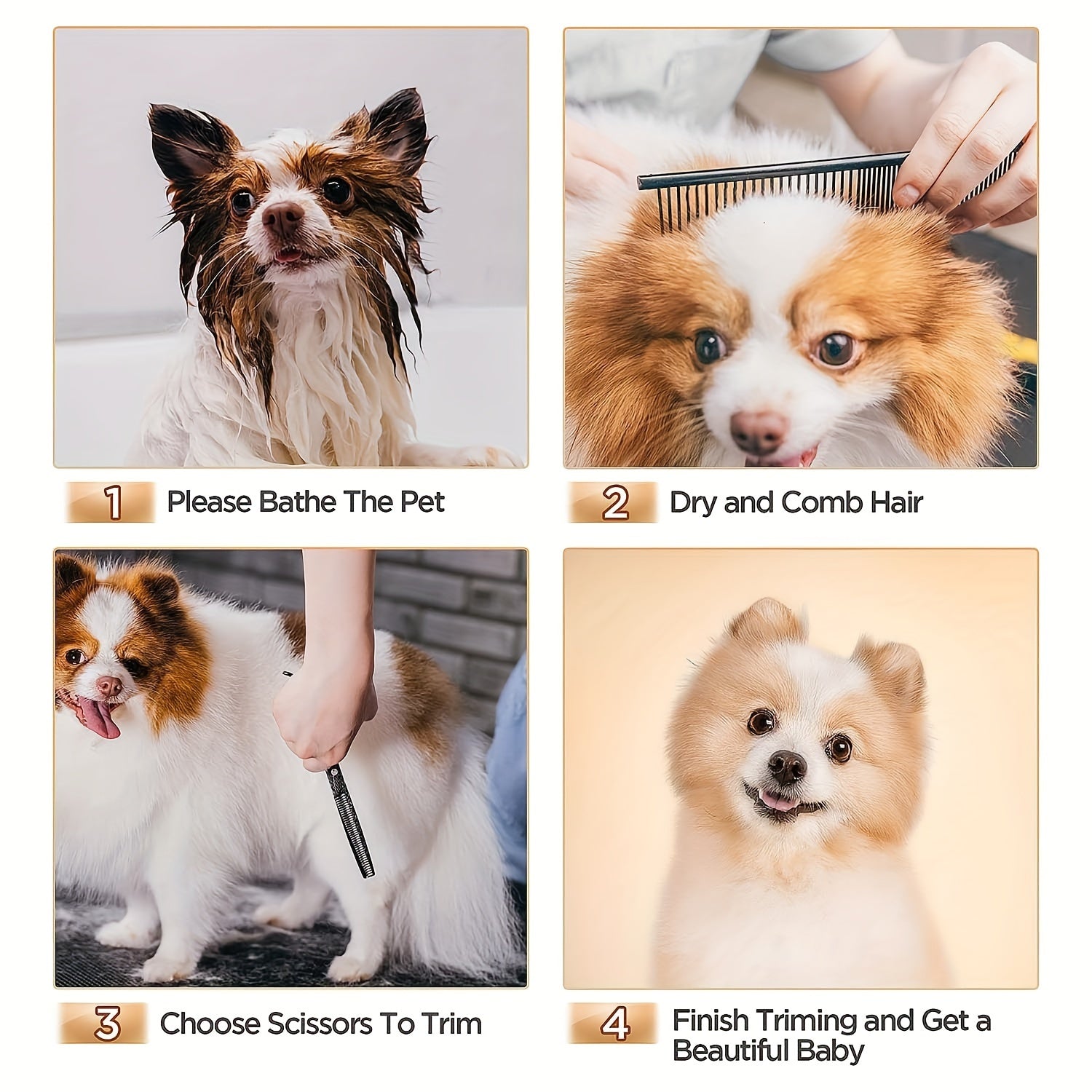 f87f2e5a-8373-4c5c-bcbb-0703e1f5a28e